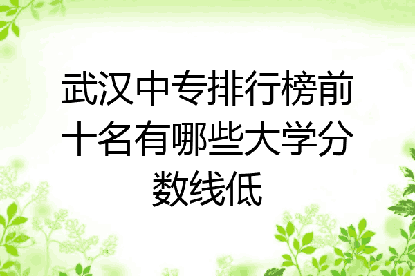 武汉中专排行榜前十名有哪些大学分数线低