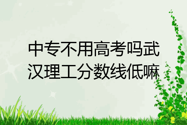 中专不用高考吗武汉理工分数线低嘛