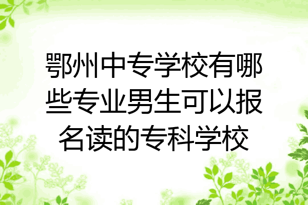 鄂州中专学校有哪些专业男生可以报名读的专科学校