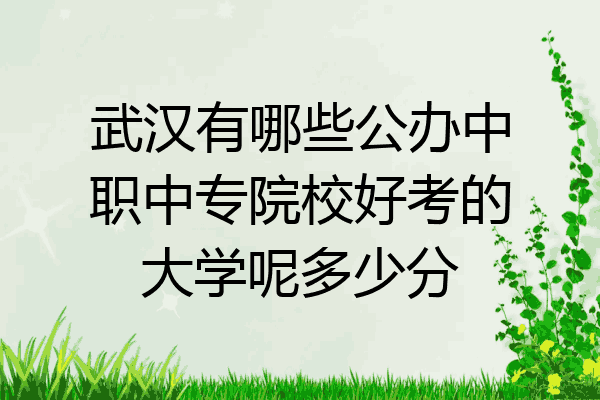 武汉有哪些公办中职中专院校好考的大学呢多少分