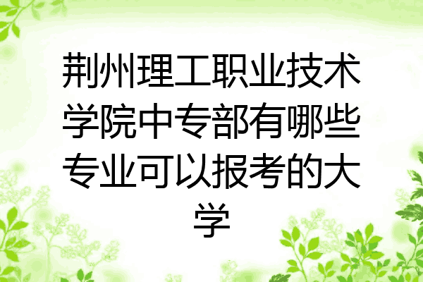荆州理工职业技术学院中专部有哪些专业可以报考的大学
