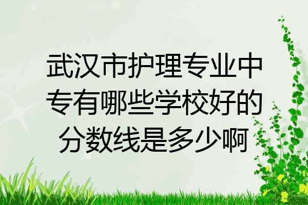 武汉市护理专业中专有哪些学校好的分数线是多少啊