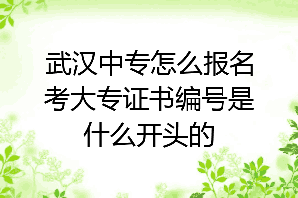 武汉中专怎么报名考大专证书编号是什么开头的