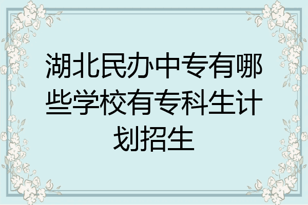 湖北民办中专有哪些学校有专科生计划招生
