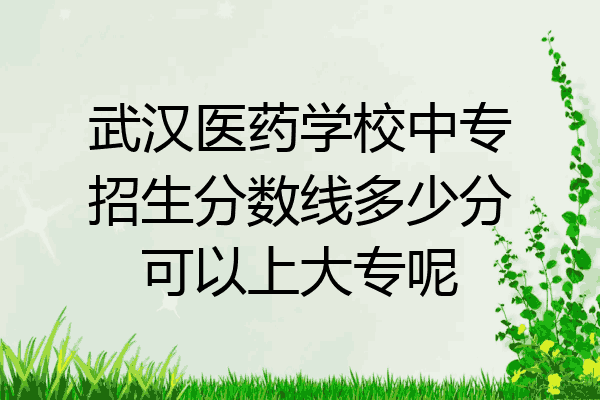 武汉医药学校中专招生分数线多少分可以上大专呢