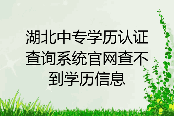 湖北中专学历认证查询系统官网查不到学历信息