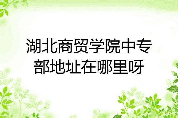 湖北商贸学院中专部地址在哪里呀