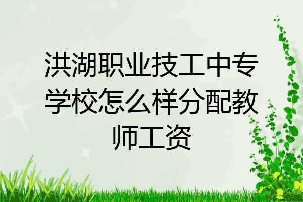 洪湖职业技工中专学校怎么样分配教师工资