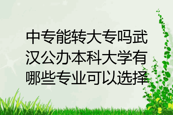 中专能转大专吗武汉公办本科大学有哪些专业可以选择