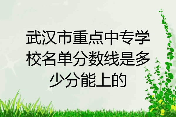 武汉市重点中专学校名单分数线是多少分能上的