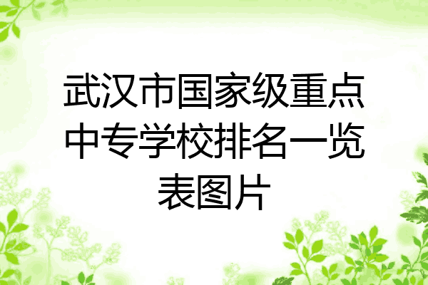 武汉市国家级重点中专学校排名一览表图片