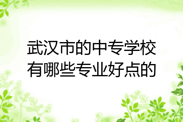 武汉市的中专学校有哪些专业好点的