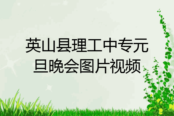 英山县理工中专元旦晚会图片视频