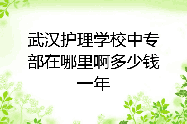 武汉护理学校中专部在哪里啊多少钱一年