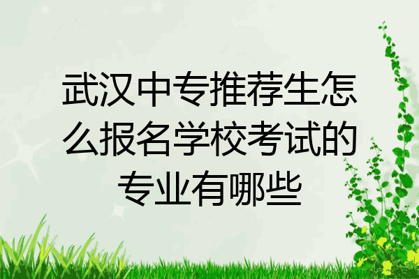 武汉中专推荐生怎么报名学校考试的专业有哪些
