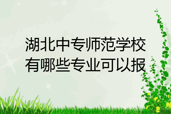 湖北中专师范学校有哪些专业可以报