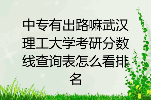中专有出路嘛武汉理工大学考研分数线查询表怎么看排名