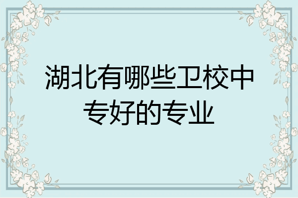 湖北有哪些卫校中专好的专业