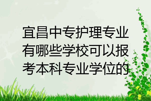 宜昌中专护理专业有哪些学校可以报考本科专业学位的