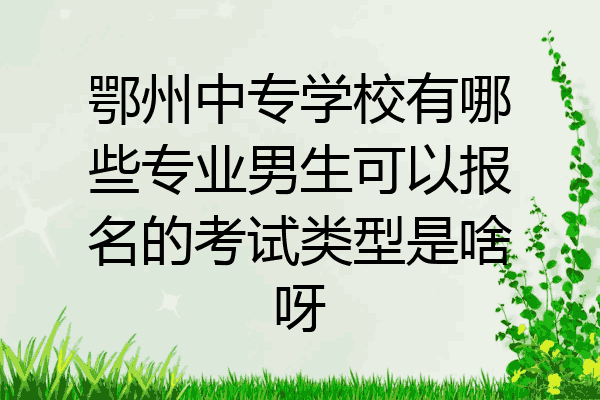鄂州中专学校有哪些专业男生可以报名的考试类型是啥呀