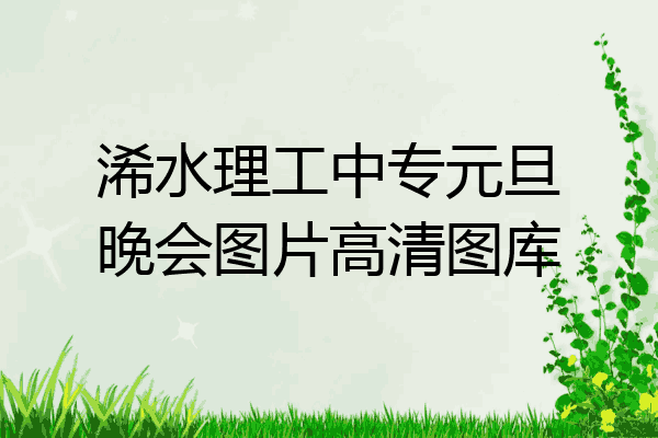 浠水理工中专元旦晚会图片高清图库