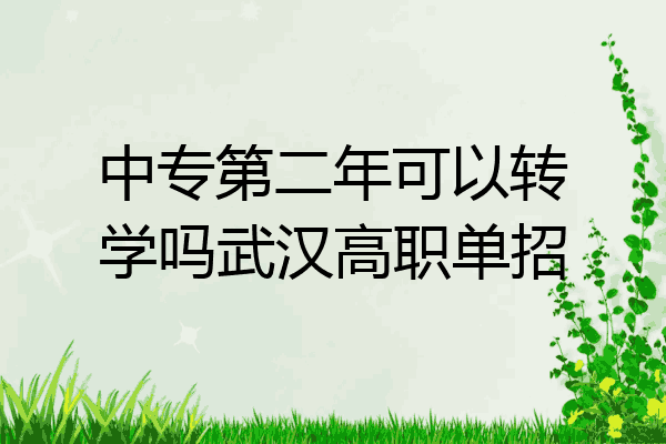 中专第二年可以转学吗武汉高职单招