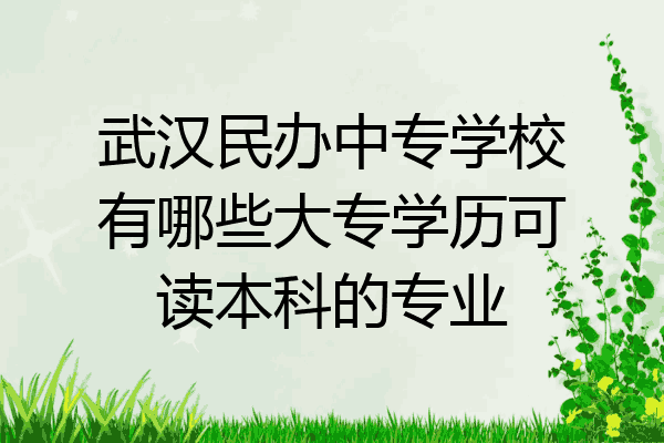 武汉民办中专学校有哪些大专学历可读本科的专业