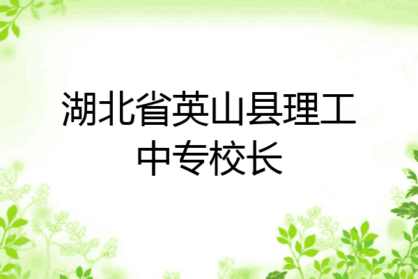 湖北省英山县理工中专校长