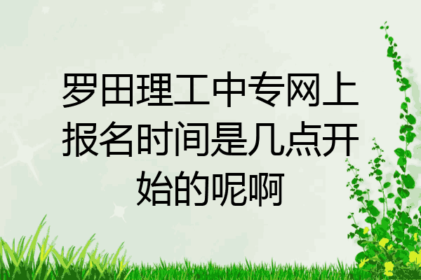 罗田理工中专网上报名时间是几点开始的呢啊