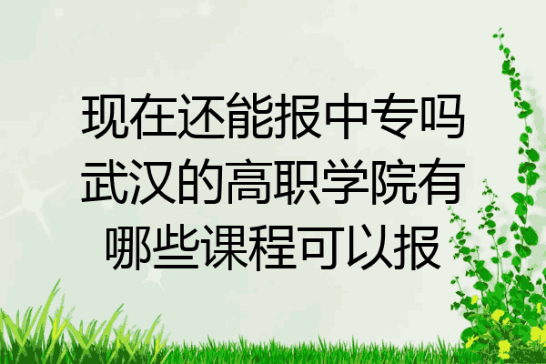 现在还能报中专吗武汉的高职学院有哪些课程可以报