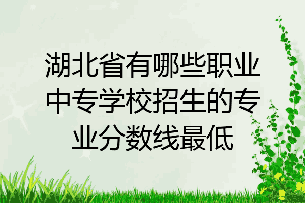 湖北省有哪些职业中专学校招生的专业分数线最低