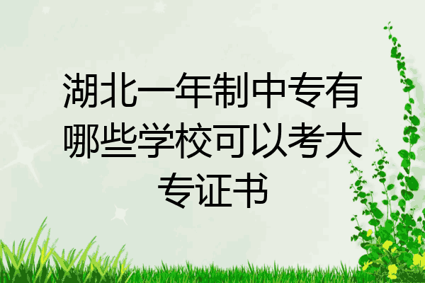 湖北一年制中专有哪些学校可以考大专证书