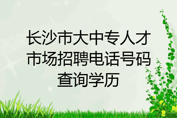 长沙市大中专人才市场招聘电话号码查询学历