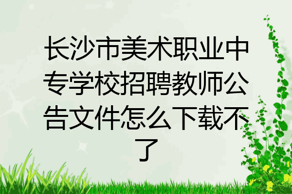 长沙市美术职业中专学校招聘教师公告文件怎么下载不了