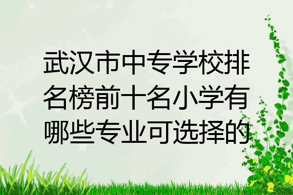 武汉市中专学校排名榜前十名小学有哪些专业可选择的