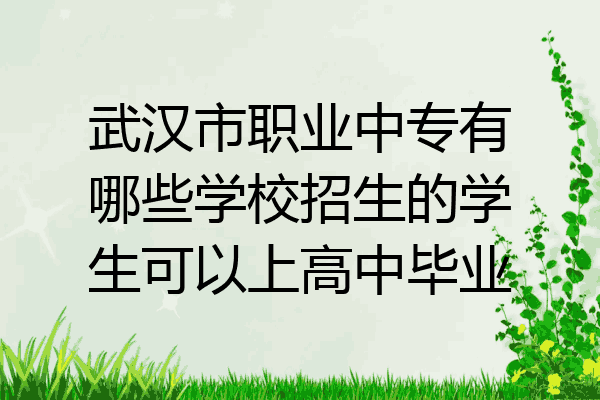 武汉市职业中专有哪些学校招生的学生可以上高中毕业