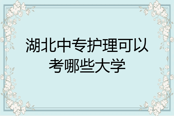 湖北中专护理可以考哪些大学