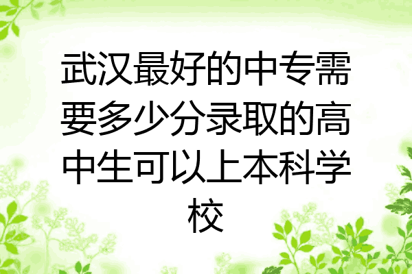 武汉最好的中专需要多少分录取的高中生可以上本科学校