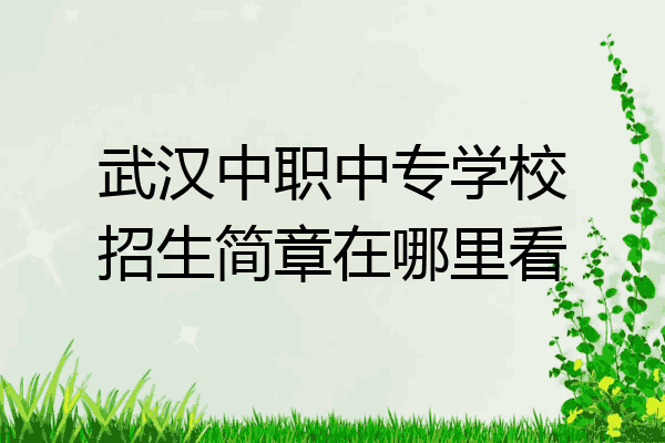武汉中职中专学校招生简章在哪里看