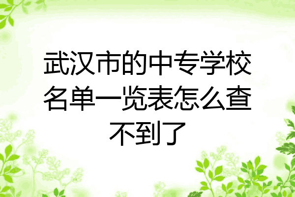 武汉市的中专学校名单一览表怎么查不到了