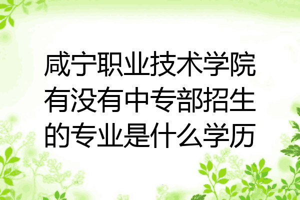 咸宁职业技术学院有没有中专部招生的专业是什么学历