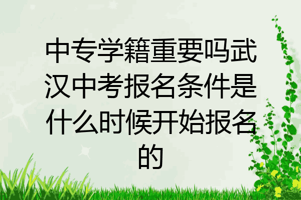 中专学籍重要吗武汉中考报名条件是什么时候开始报名的