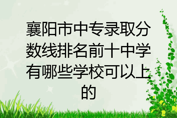 襄阳市中专录取分数线排名前十中学有哪些学校可以上的