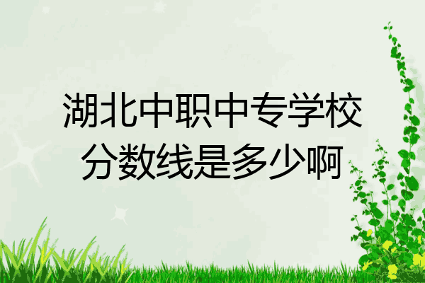 湖北中职中专学校分数线是多少啊