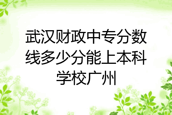 武汉财政中专分数线多少分能上本科学校广州