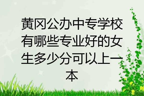 黄冈公办中专学校有哪些专业好的女生多少分可以上一本