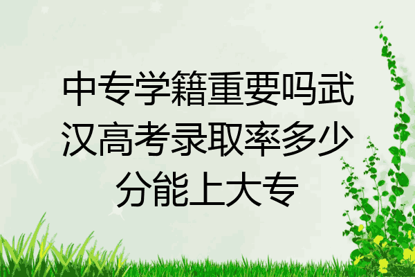 中专学籍重要吗武汉高考录取率多少分能上大专