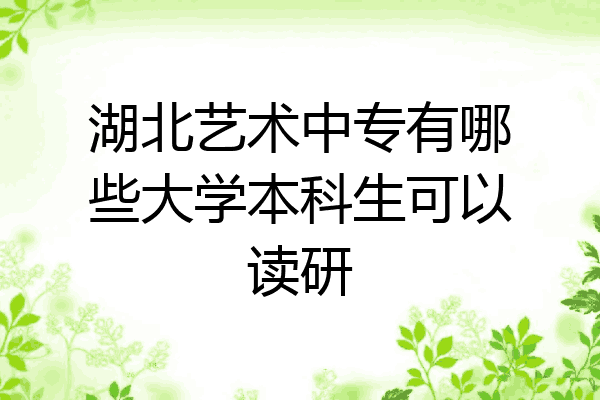 湖北艺术中专有哪些大学本科生可以读研