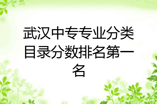 武汉中专专业分类目录分数排名第一名