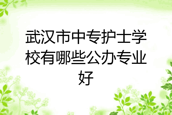 武汉市中专护士学校有哪些公办专业好